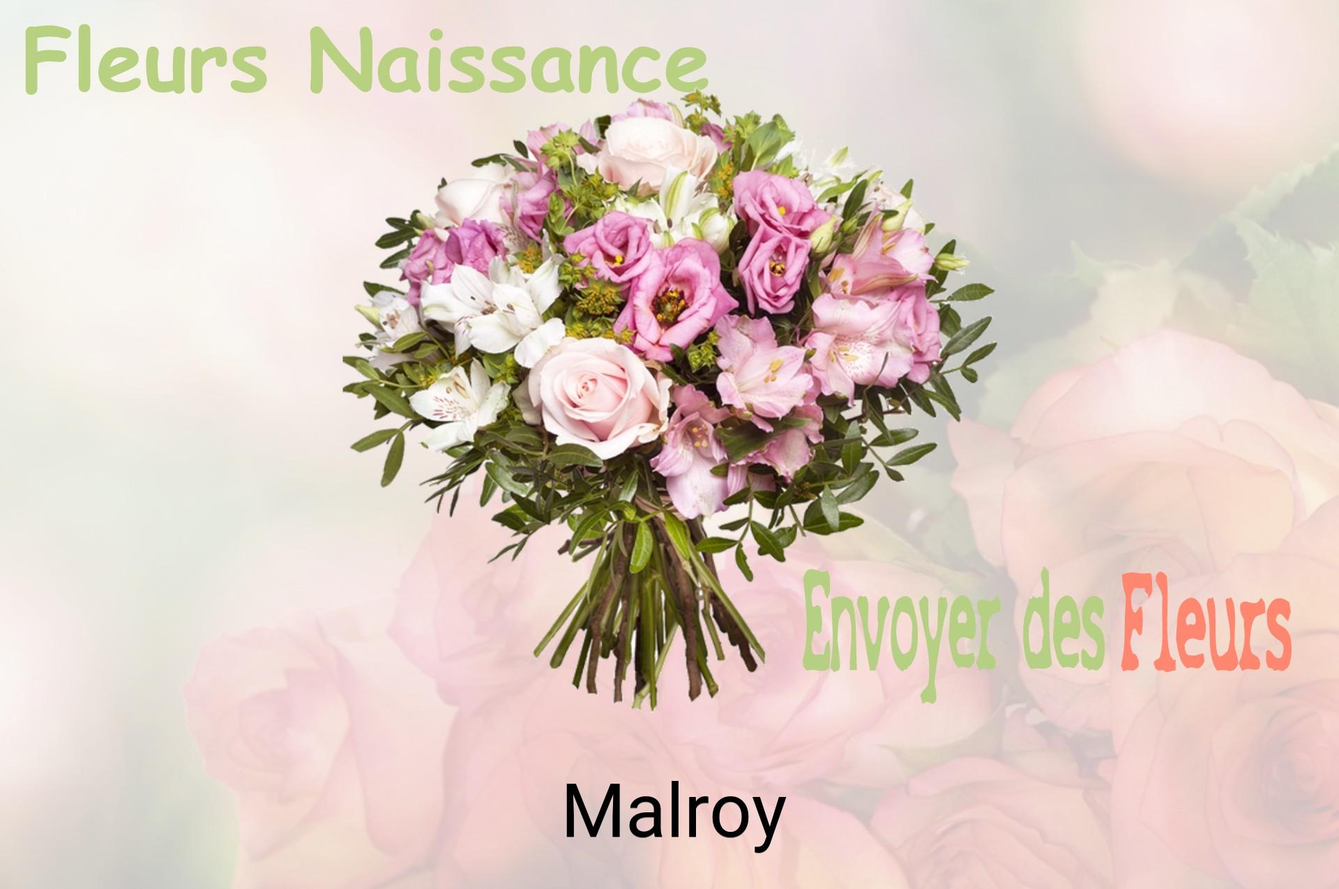 Bouquet de fleurs de naissance livré à Malroy